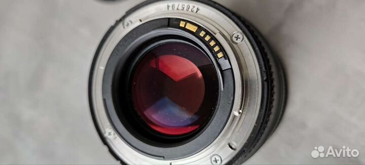 Canon 24 mm L ii