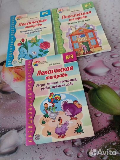 Лексические тетради Е. Косиновой