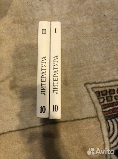 Учебники по литературе 10 класс