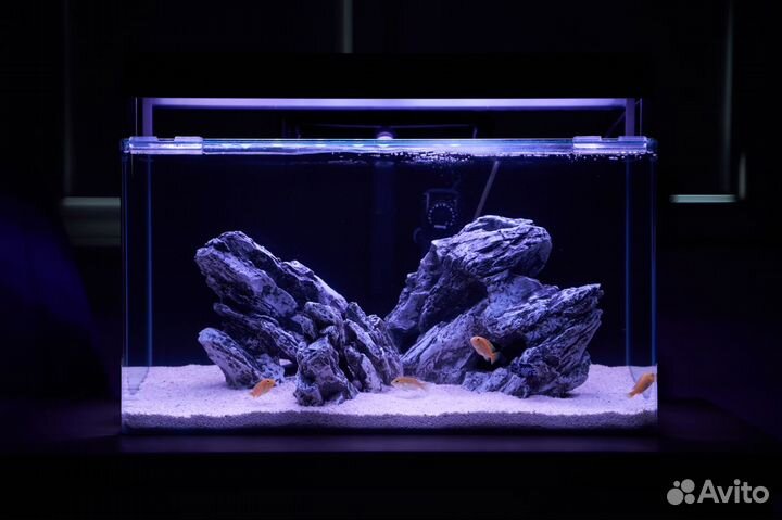 Deksi гроты для аквариума