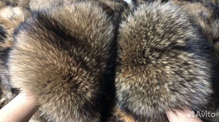 Шкуры енота