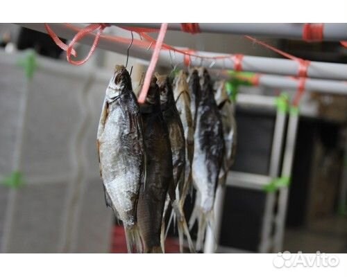 Сушилка для рыбы,овощей,фруктов,мяса 105*54*74см