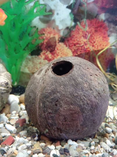 Грот для аквариума