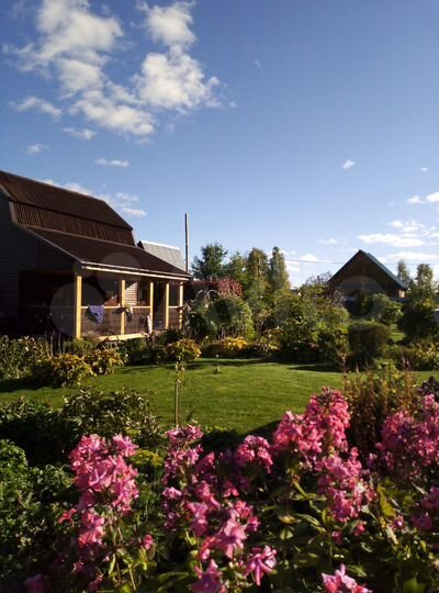 Дом 50 м² на участке 12 сот.