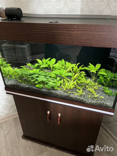 Аквариума с тумбой