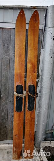 Лыжи охотничьи