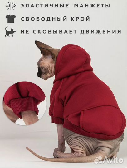 Одежда для животных