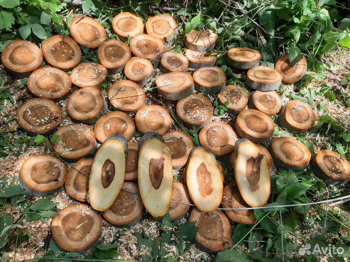 Спилы из дерева для интерьера