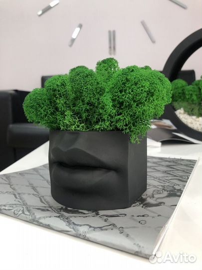 Кашпо Губы Джоли со мхом