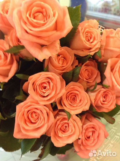 Цветы розы букет