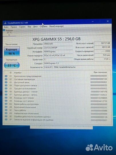 SSD M2 XPG 256GB