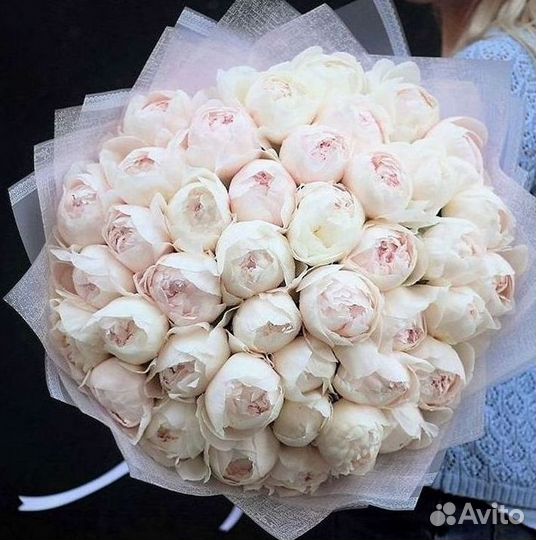 Пионы Букет пионов