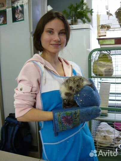 Домашняя передержка животных, зооняня