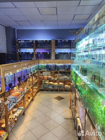 Аквариумные рыбки и растения в магазине