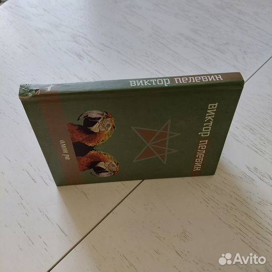 Пелевин В. Омон Ра, Жёлтая стрела