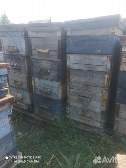 Ульи 12 рамочные, ппу 17 рамочные, цельнолитые