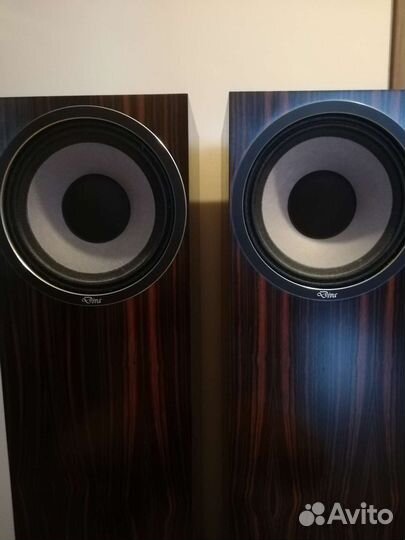 WLM Diva. Hi-End акустика