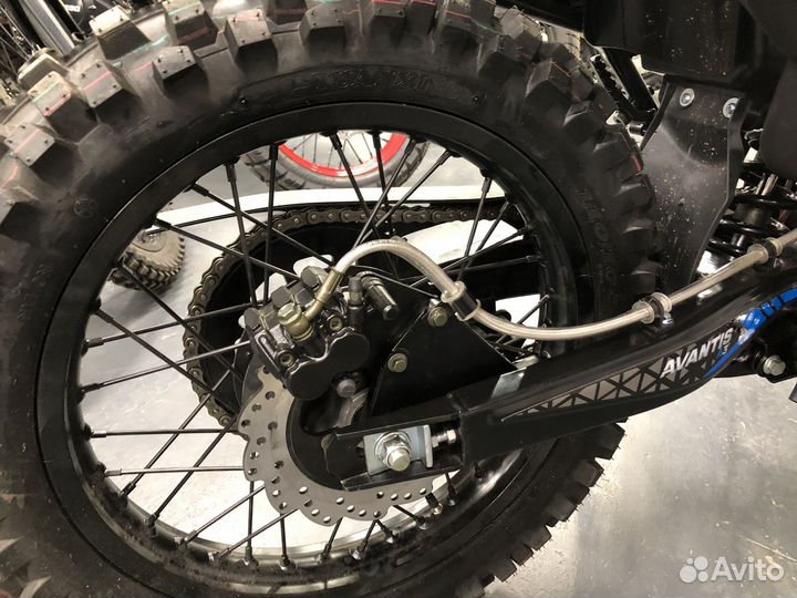 Avantis LX 300 (174MM) 6-ть передач, С птс 2023