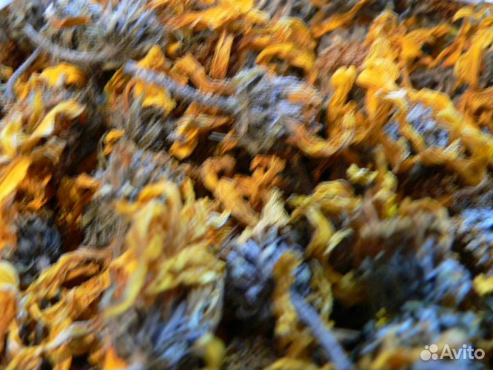 Травы цветы листья сушёные собранные в поле и лесу