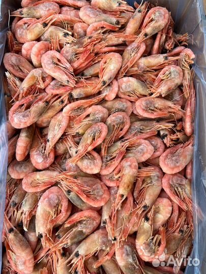 Креветка Северная (Гренландия 80-100 шт. )