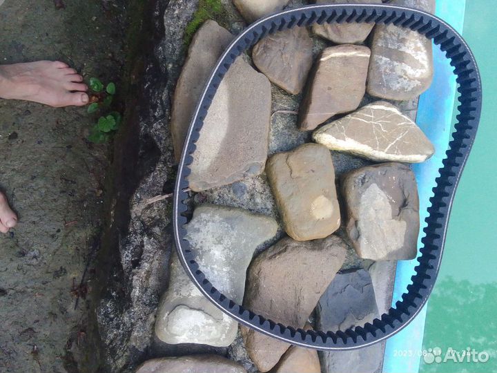 Ремень вариатора