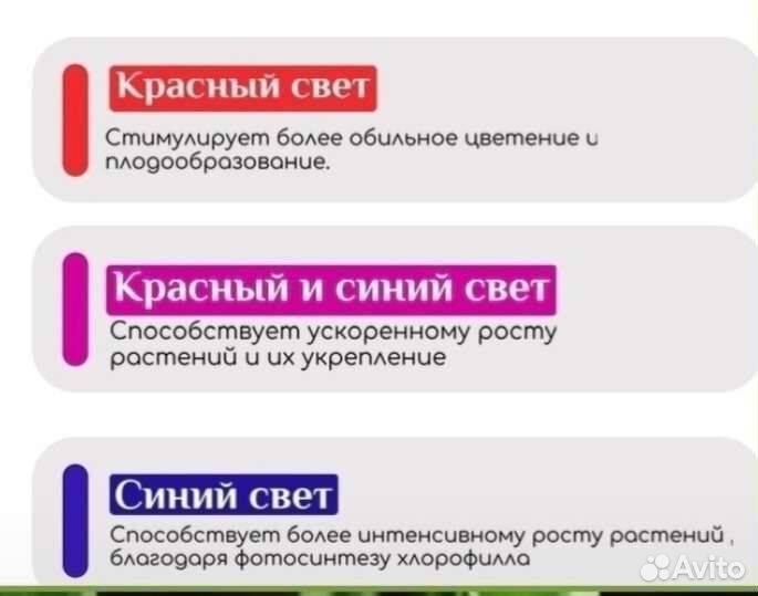 Фитолампа для растений
