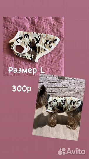 Одежда для маленьких собак h&m