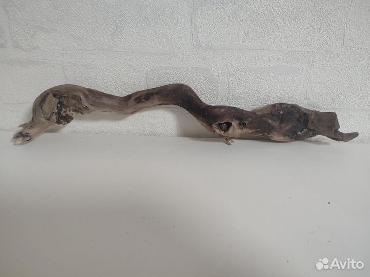 Коряги для аквариума