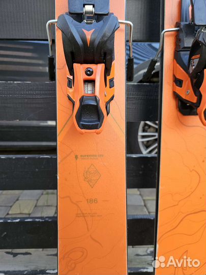 Горные лыжи majesty 2021-22 Superior Orange