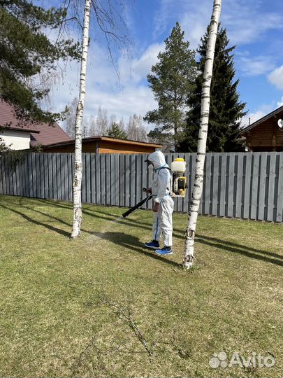 Обработка участка от клещей, комаров, борщевика