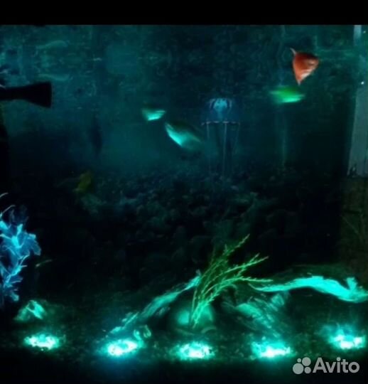 Подсветка в аквариум