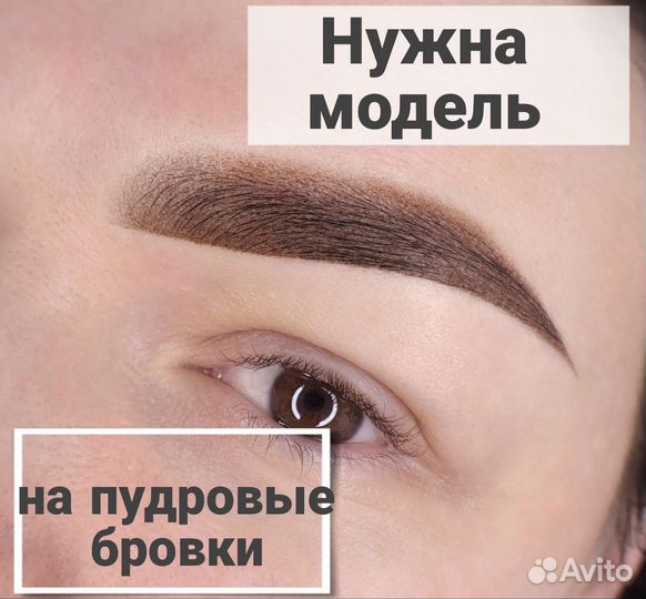 Модель на аппаратные волоски