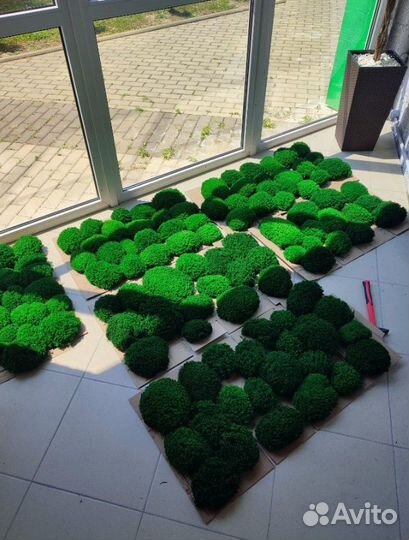 Премиальные кочки королевского мха мох для декора