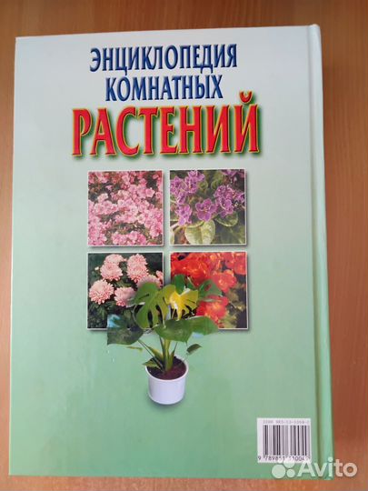Энциклопедия комнатных растений