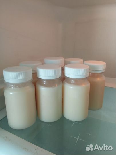 Барсучий жир