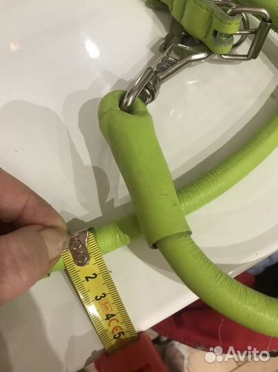 Ошейник и поводок