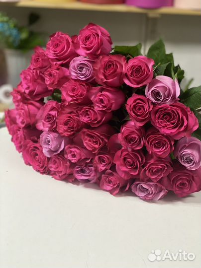 Розы Армавир, пионовидные розы