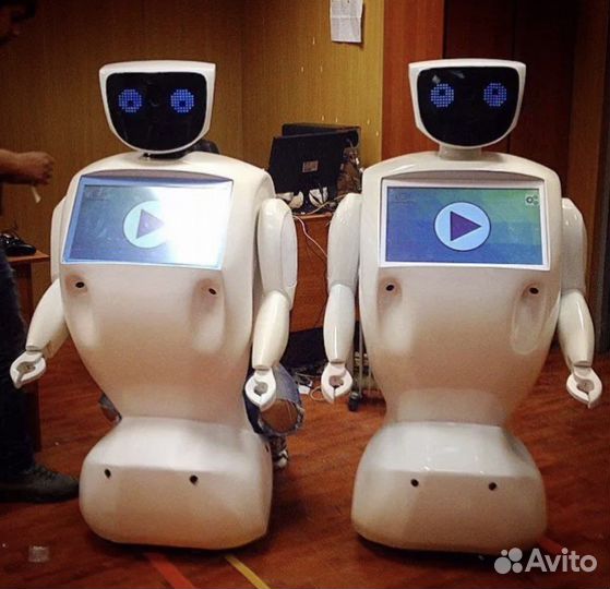 Робот промобот(Promobot v2)