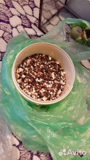 Аквариум с принадлежностями