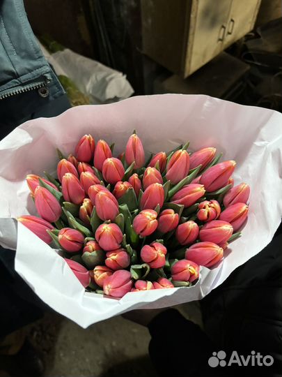 Тюльпаны к 8 марта