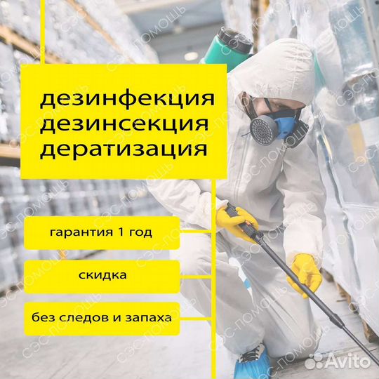 Уничтожение клопов тараканов мышей клещей блох