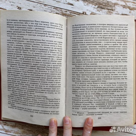 Александр Дюма. Граф Монте-Кристо. 2 тома