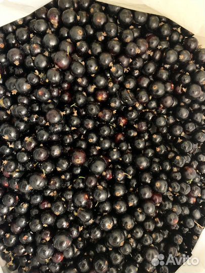 Красная смородина ягоды