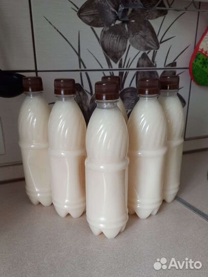 Барсучий жир от охотника