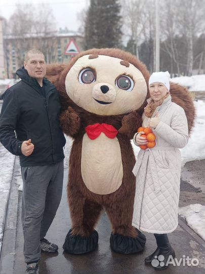 Белый мишка поздравление/Чебурашка