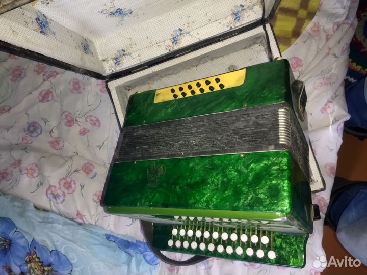 Гармонь Кубань