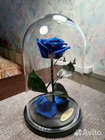 Роза в колбе