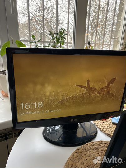 Монитор LG