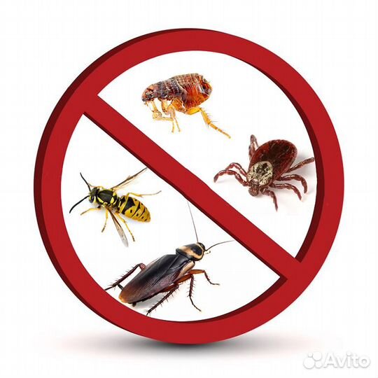 Дезинсекция, уничтожение насекомых, клещей