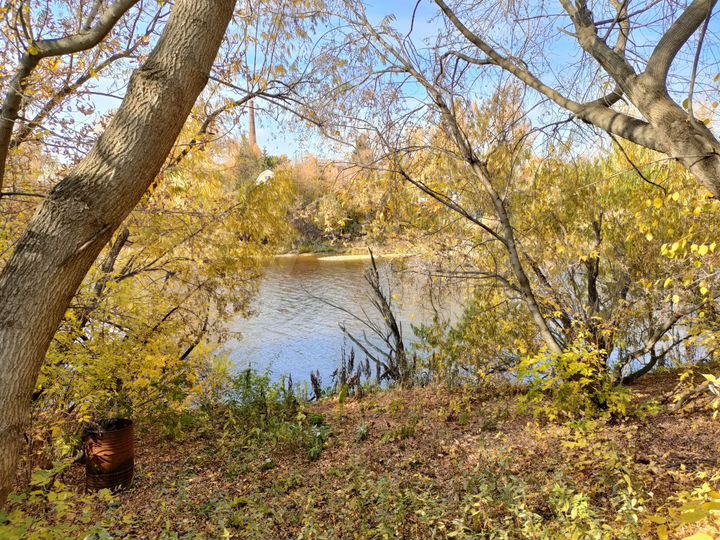 Участок 5 сот. (СНТ, ДНП)